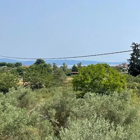 Trifili