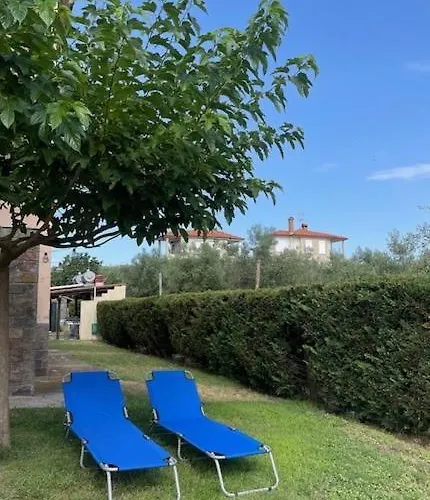 Trifili *