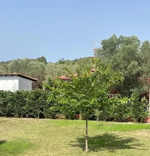 Trifili * Ormos Panagias