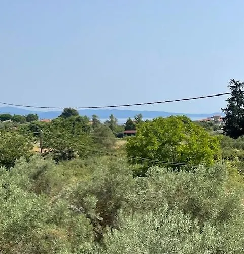Trifili