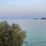 Trifili *
